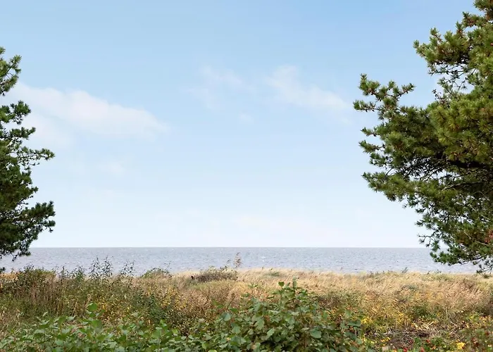 Skovbrynet Iv * Tarm